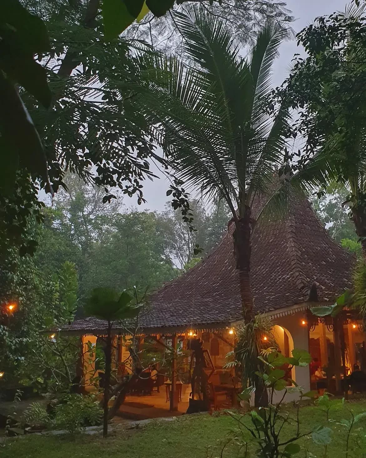 Kafe Jiwajawi, Hutan Kecil di Jogja untuk Healing Sejenak