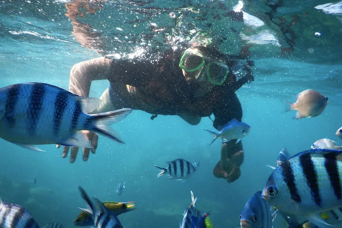 Wajib Mampir ke 13 Tempat Liburan di Jawa Tengah yang Populer Ini