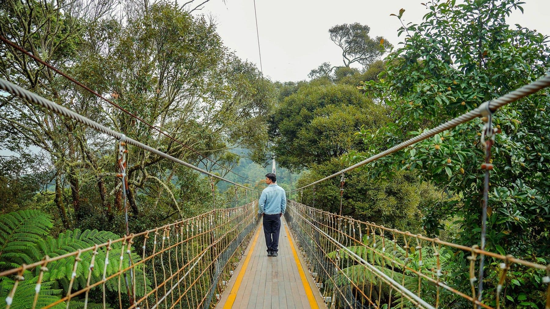 7 Jembatan Terunik di Dunia yang Estetik dan Fungsional!