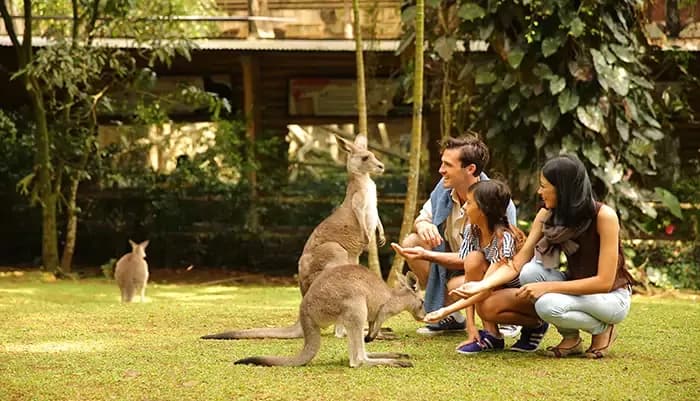 10 Kebun Binatang di Indonesia yang Cocok untuk Liburan