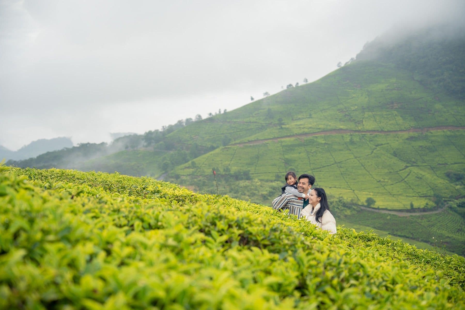 Mumet di Rumah? Ini Dia 5 Kebun Teh di Jawa Barat untuk Kamu Pencinta Pemandangan Hijau