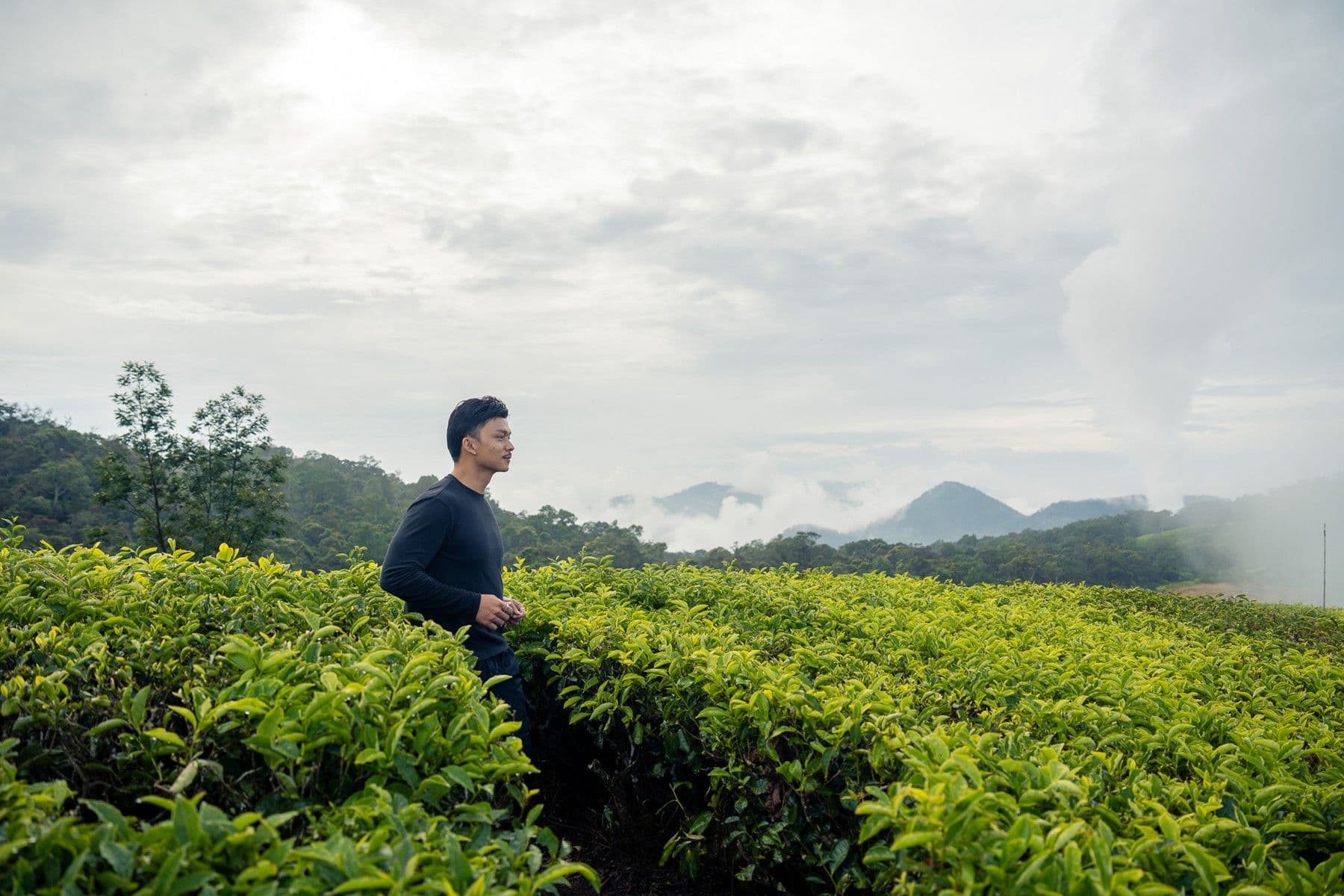 Viral di TikTok, Ini Dia 7 Fakta tentang Bukit Jamur Ciwidey dengan Lokasi dan Harga Tiket
