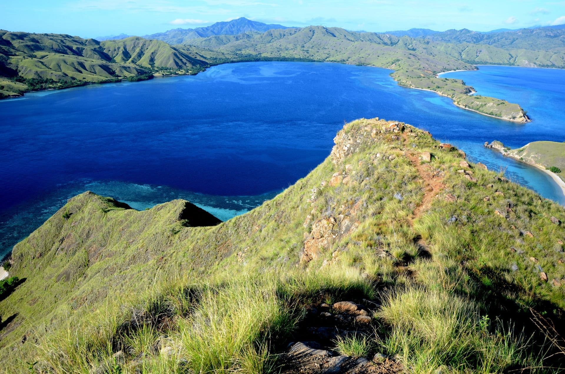 Pulau Komodo: Destinasi yang Harus Dikunjungi Setidaknya Sekali Seumur Hidup!