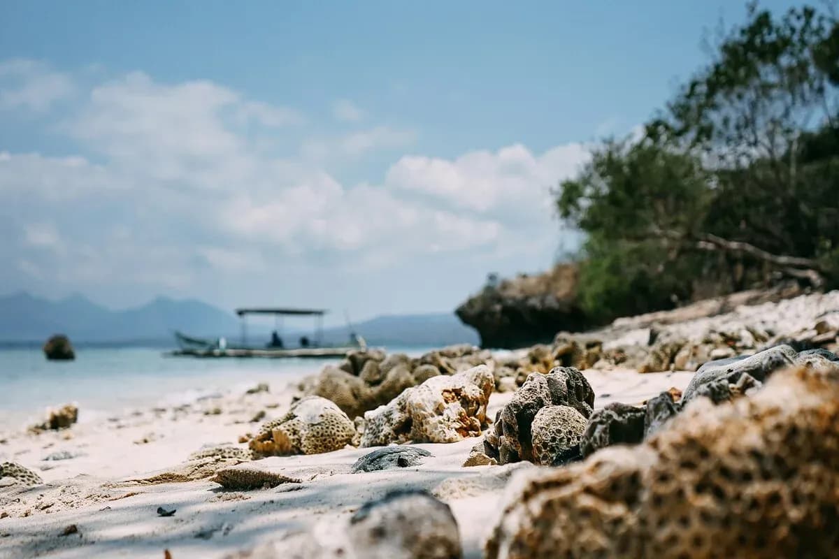 Mau Liburan Anti-Mainstream? Yuk ke Pulau Menjangan, Bali!