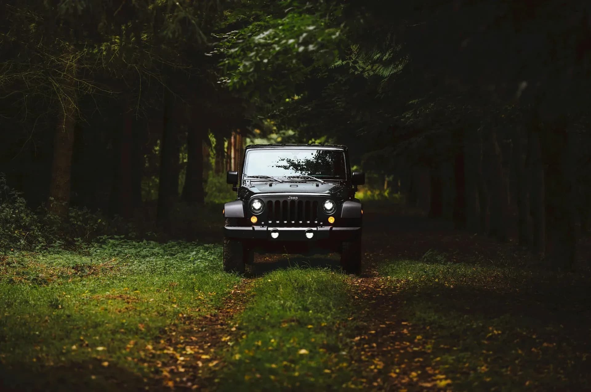 Intip Serunya Pengalaman Jeep Tour Kintamani bareng Bobocabin