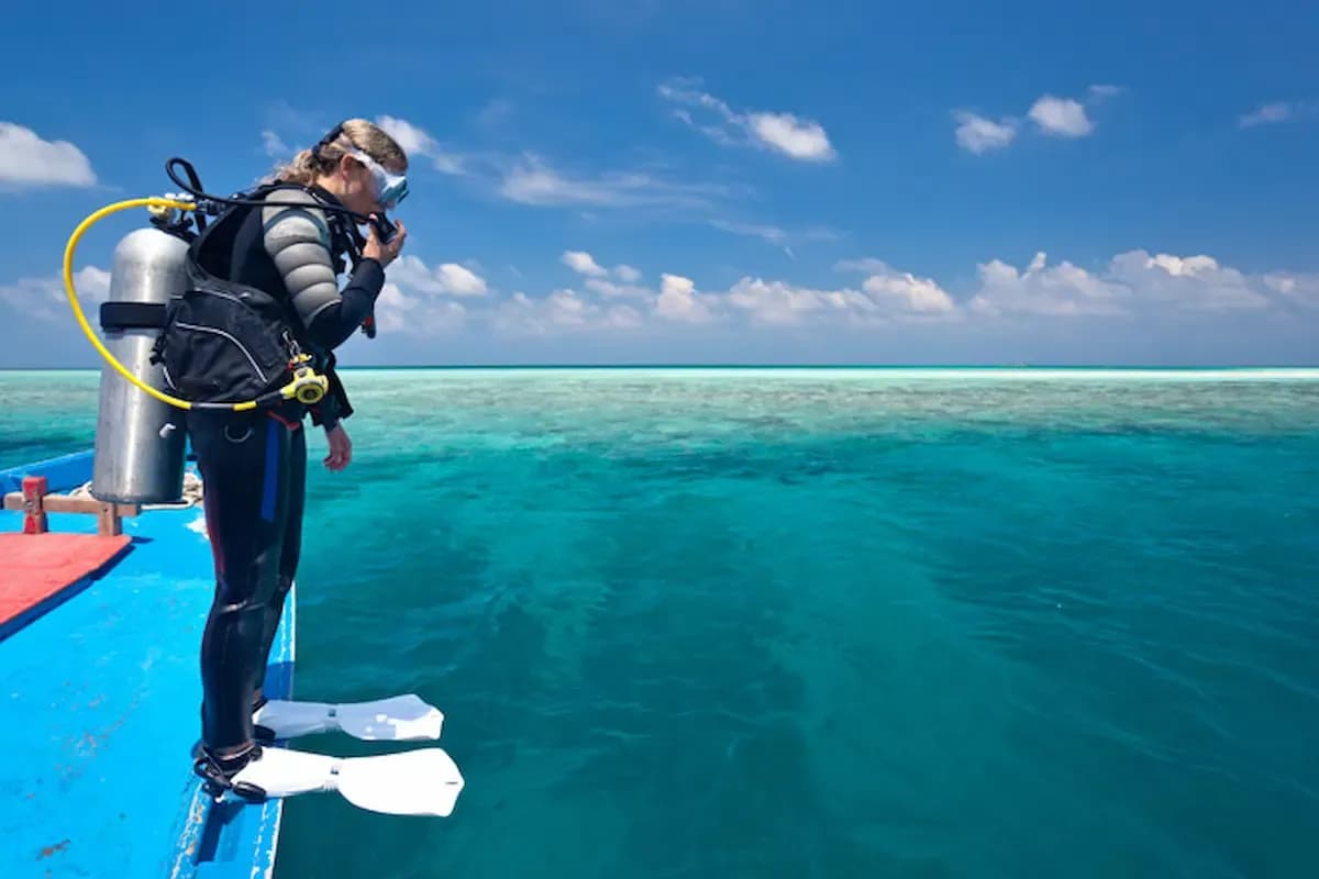 Dive into the Darkness: Night Diving Tips for Beginners