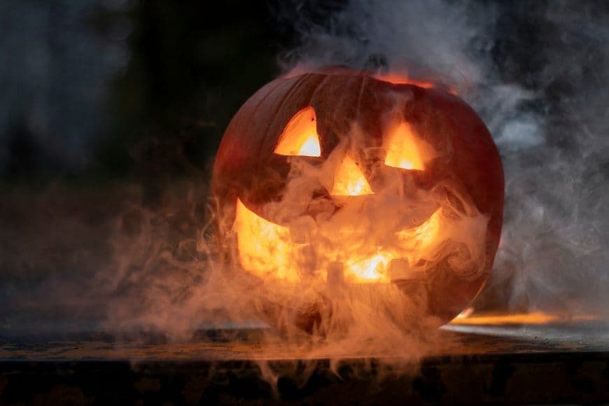 Ingin Menghias Rumahmu dengan Tema Halloween? Simak Tanaman Unik yang Cocok Untuk Dekorasi Halloween Berikut Ini!