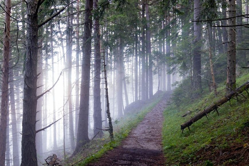 Pecinta Alam Wajib Tahu! Berikut Kasus-Kasus Pendaki Gunung yang Sempat Hilang dan Ditemukan di Indonesia