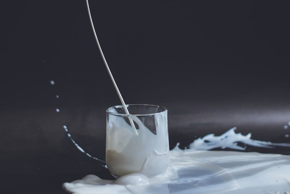 Tidak Suka Susu Sapi? Coba 5 Susu Alternatif Berikut Ini!
