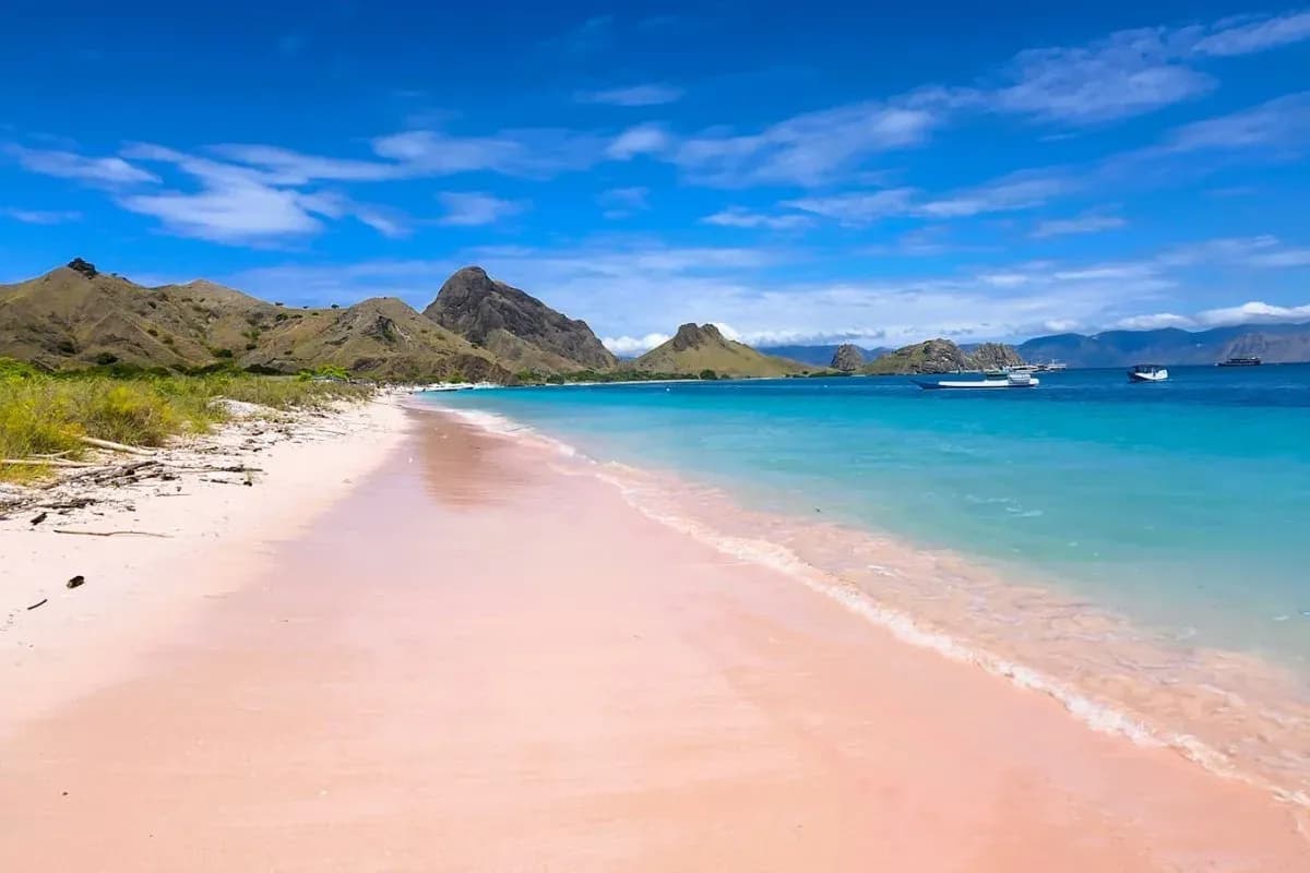 Cantiknya Pesona Pantai Pink Lombok