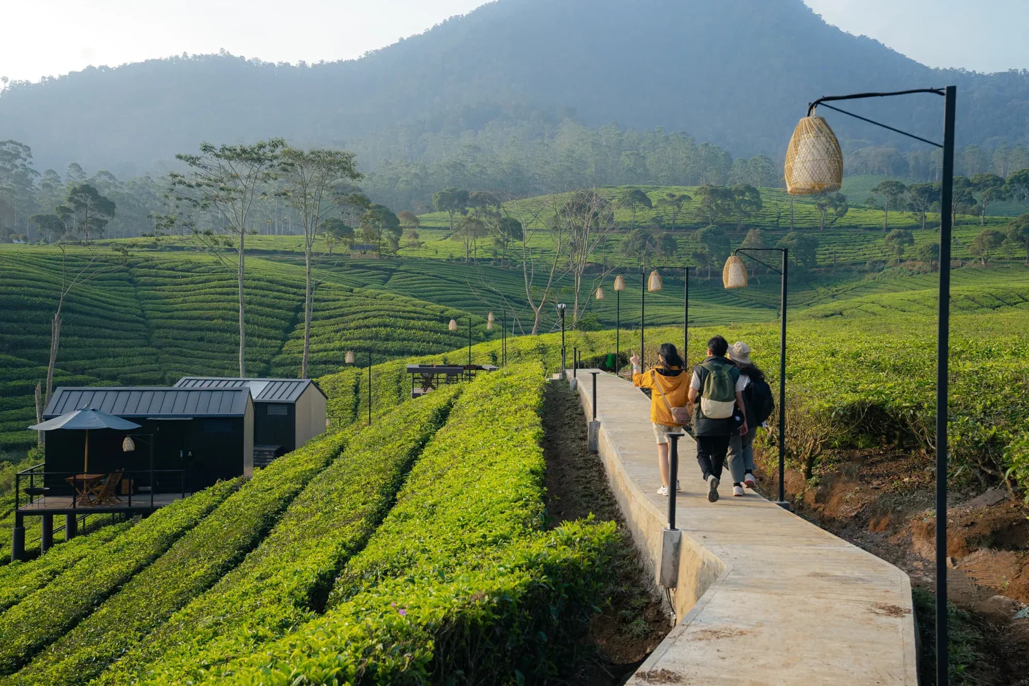 Nikmati Keseruan Liburan Staycation di Bobocabin Ranca Upas Bandung!