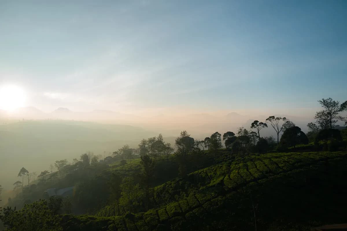 6 Spot Terbaik Melihat Sunset di Kawah Ciwidey