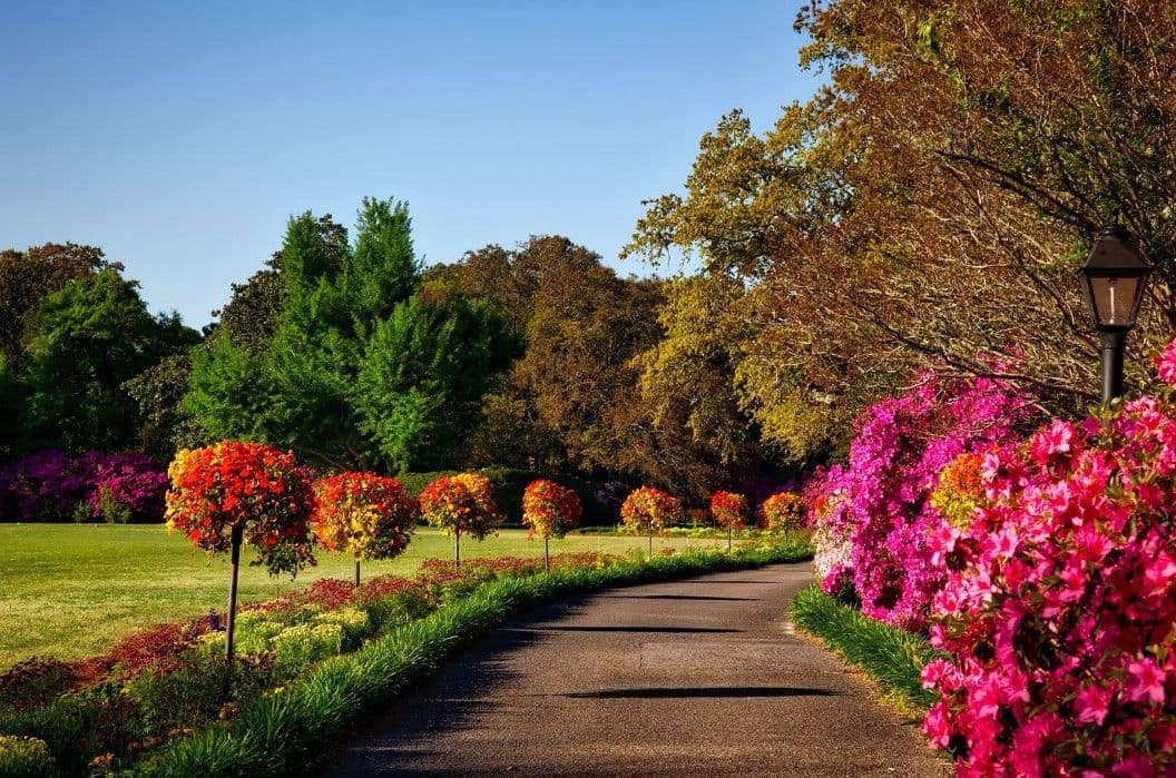 Mau Healing Murah Meriah? Kunjungi 7 Taman di Bandung Berikut Ini!