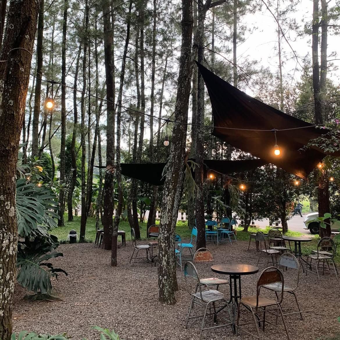 Teduh Coffee Bandung: Cafe Sejuk dengan Nuansa Hutan