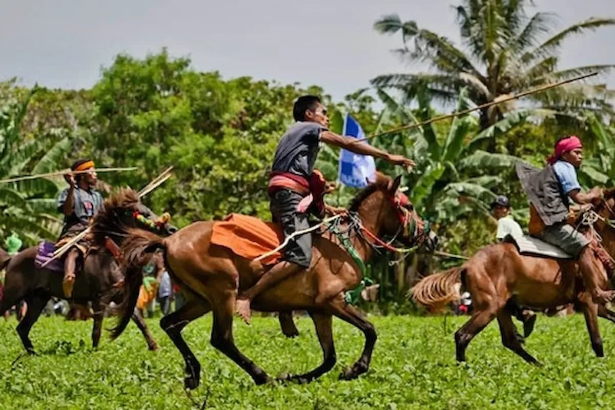 Mengenal Lebih Dekat Tradisi Pasola, Atraksi di Atas Kuda Khas Masyarakat Sumba