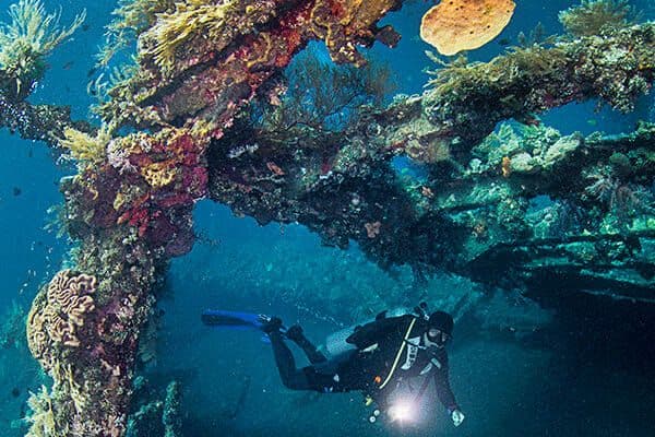 Nggak Cuma Satu Jenis! Ini Dia 7 Jenis Kegiatan Diving dan Perbedaannya