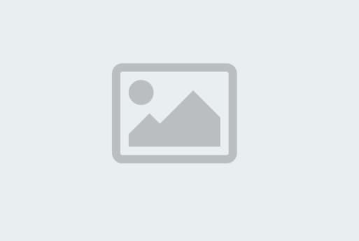 Bobocabin Ubud: Hotel Pet Friendly buat Staycation bareng Anabul