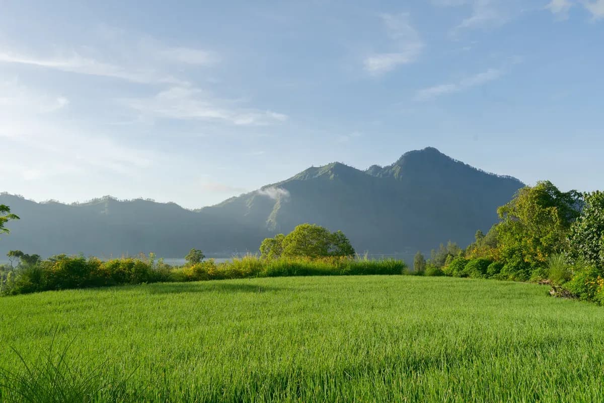 14 Destinasi Wisata Kintamani Hits Ini Sayang untuk Dilewatkan!