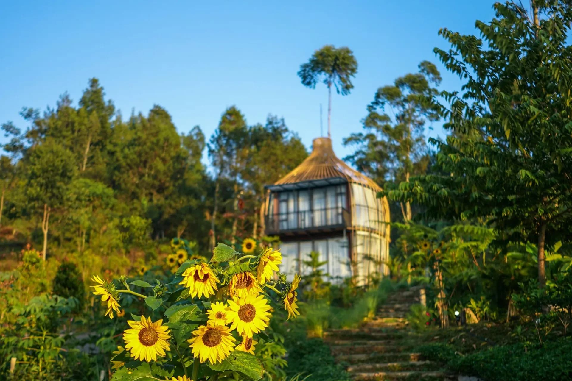 18 Tempat Glamping di Ciwidey Paling Seru