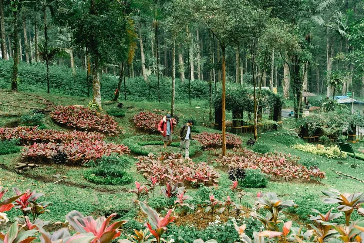 Bagaikan Surga, Ini Dia 7 Kebun Raya Terindah di Dunia