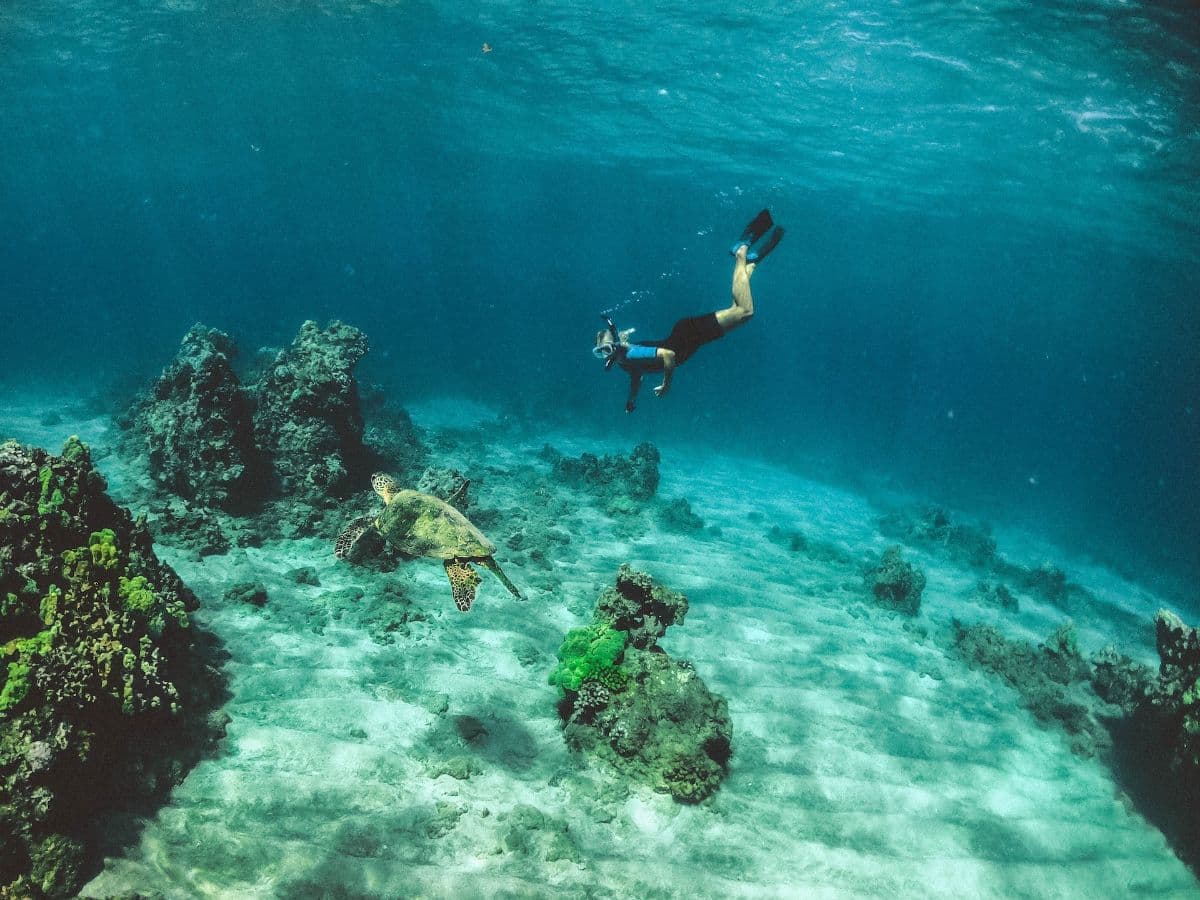 Mengenal Perbedaan Snorkeling dan Diving