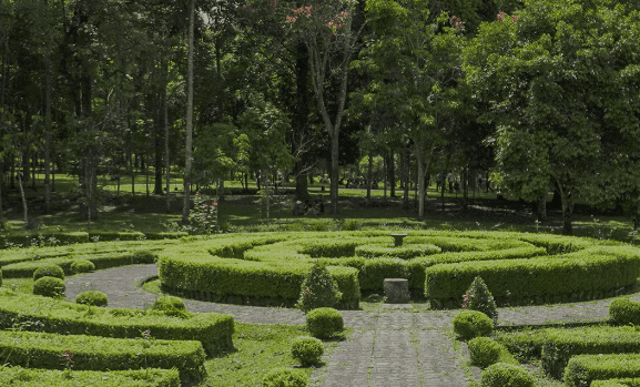7 Spot Istimewa di Kebun Raya Eka Karya Bali, Pusat Flora Timur Indonesia
