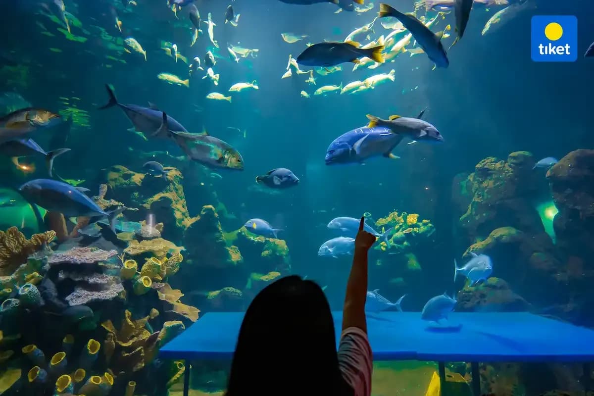 12 Wisata Libur Lebaran di Jakarta yang Tetap Buka