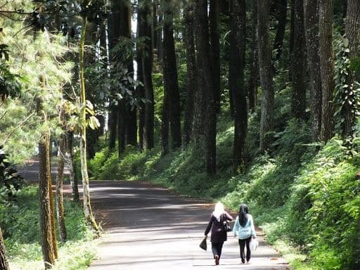 Yuk Nikmati 5 Tempat Wisata Bogor Ini untuk Liburan yang Asyik!