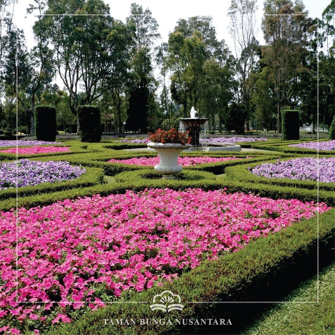 Wisata Taman Bunga Nusantara: Surganya Bunga di Cianjur