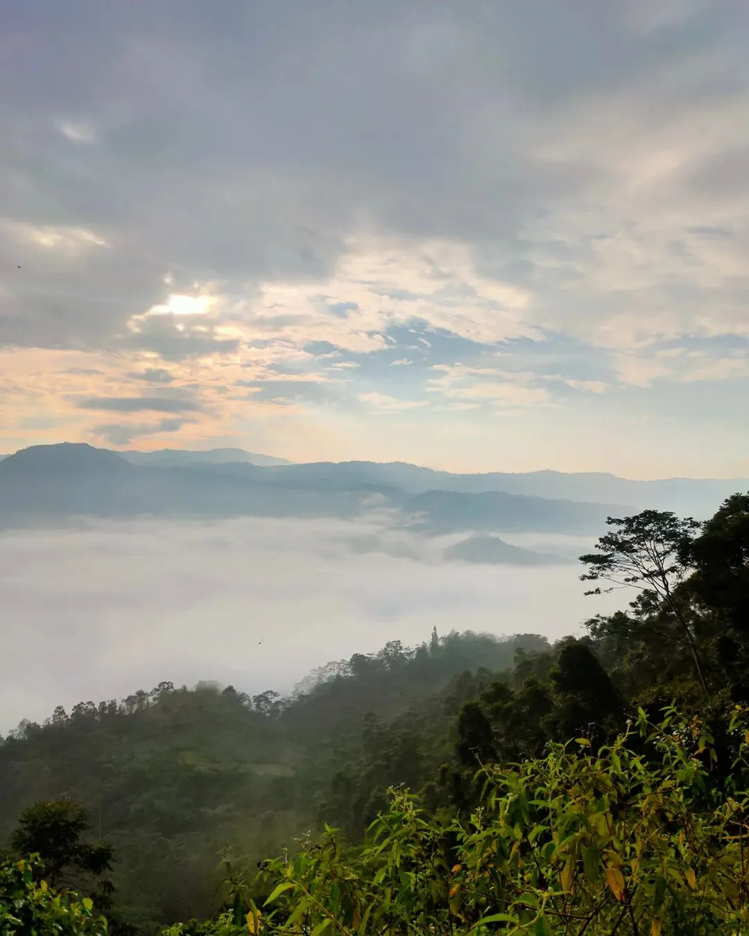 wisata negeri di atas awan lebak banten viral karena medsos