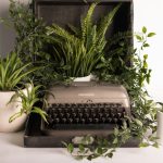 tanaman hias untuk rumah