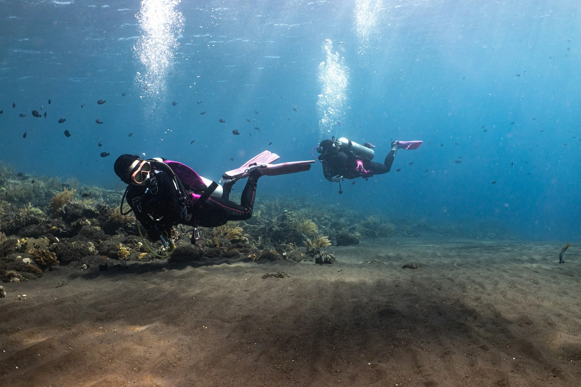 tempat diving di bali