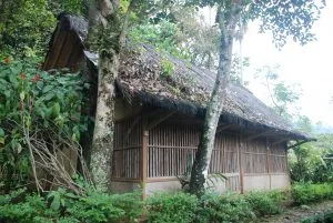 Rumah-Adat-Cikondang