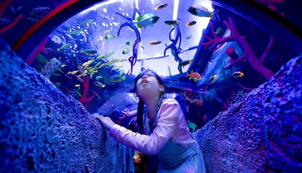 waterpark sea life aquarium