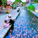 wisata hits ikan koi