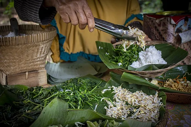 sego pecel