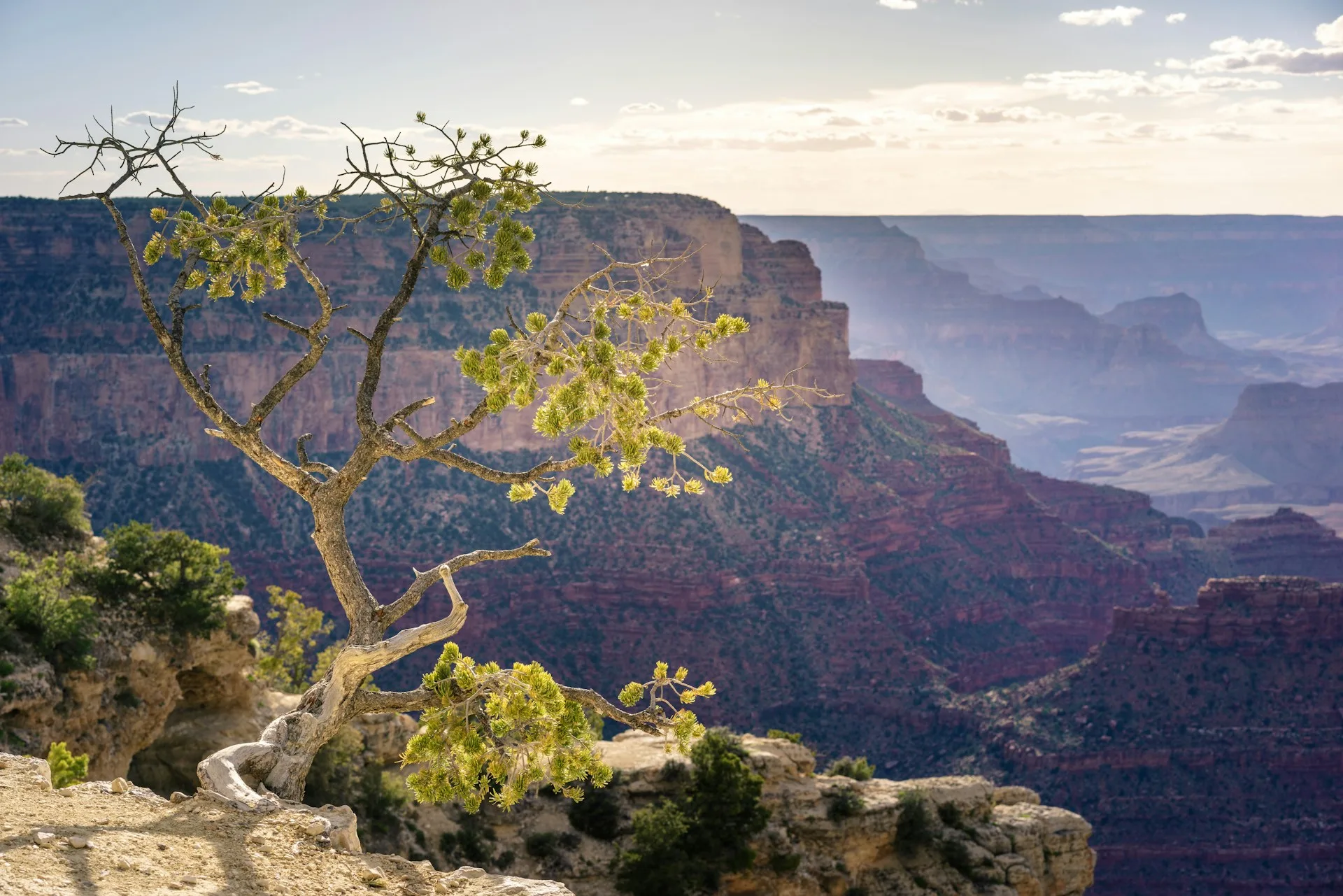 12 tempat wisata menakjubkan arizona