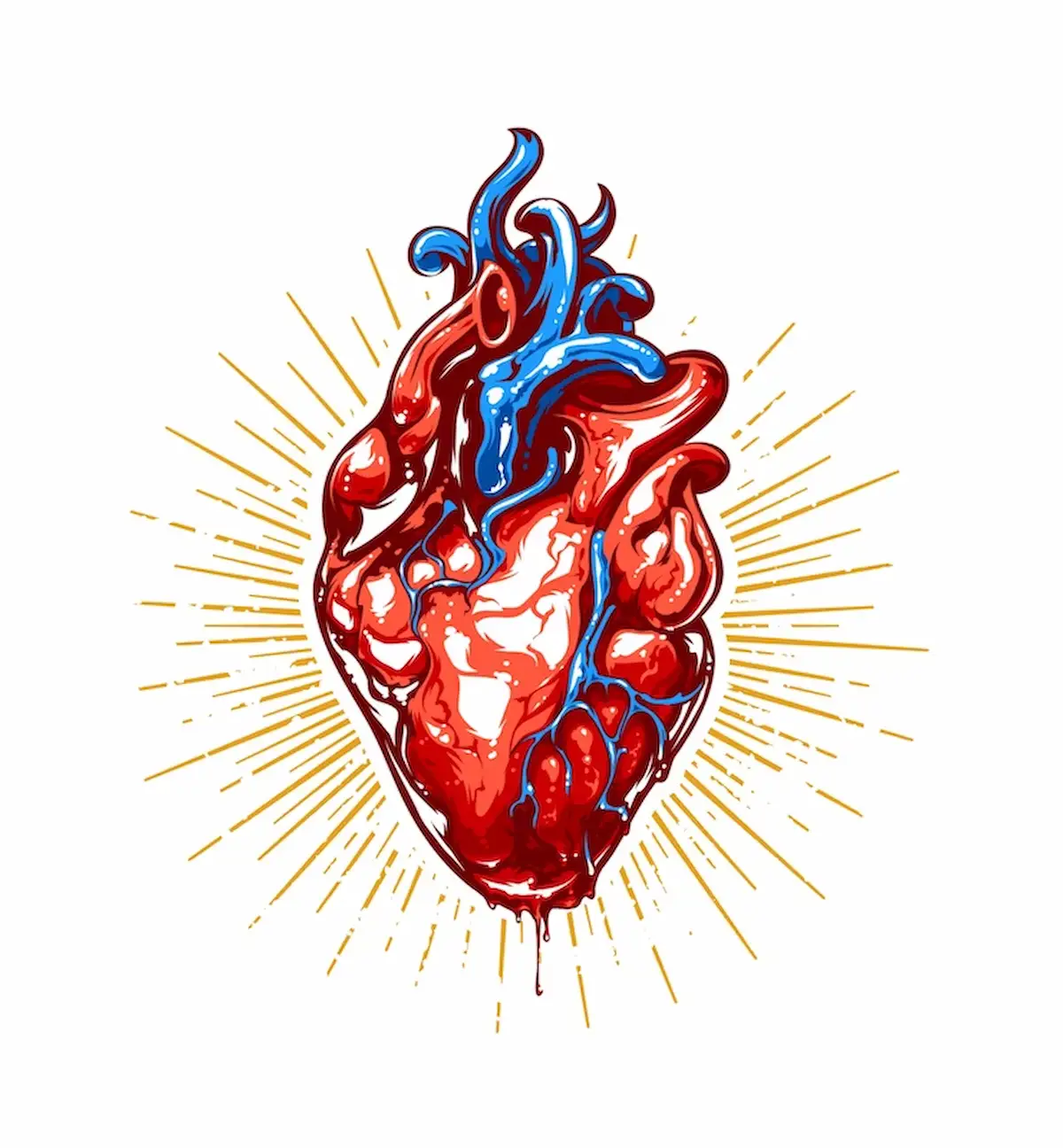 ilustrasi jantung