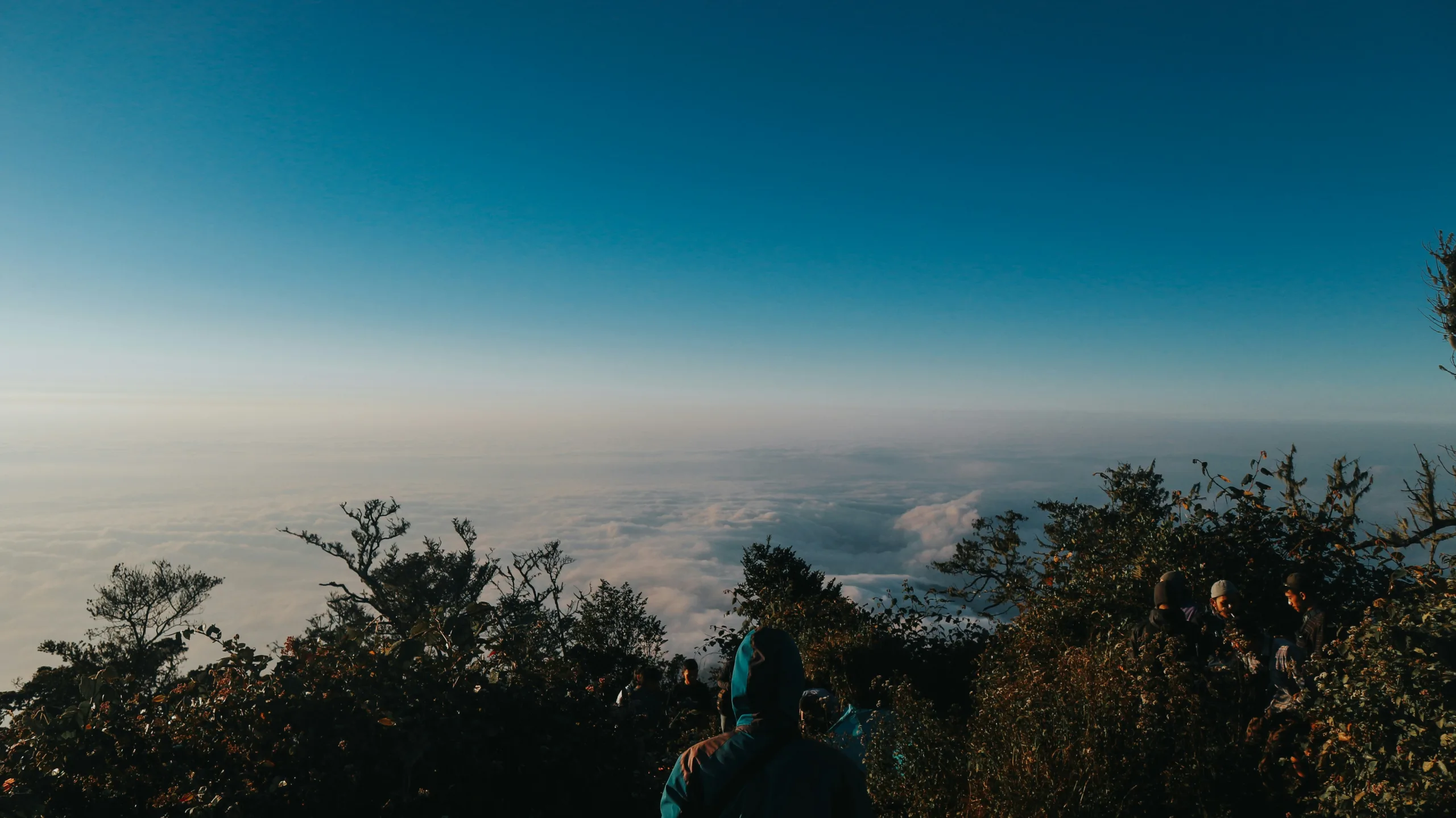 fakta gunung cikuray