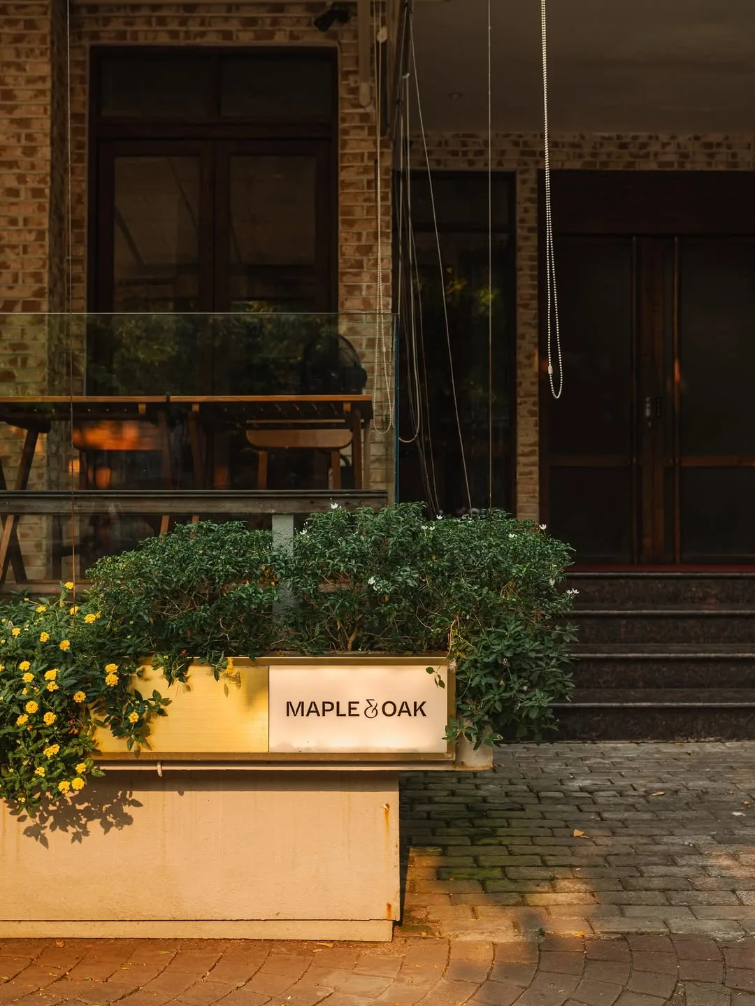Maple & Oak