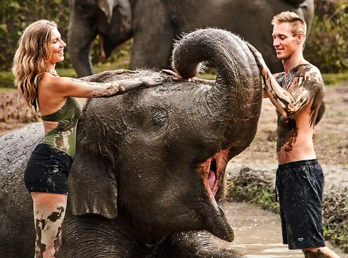 sepasang pengunjung bermain lumpur dengan seekor gajah