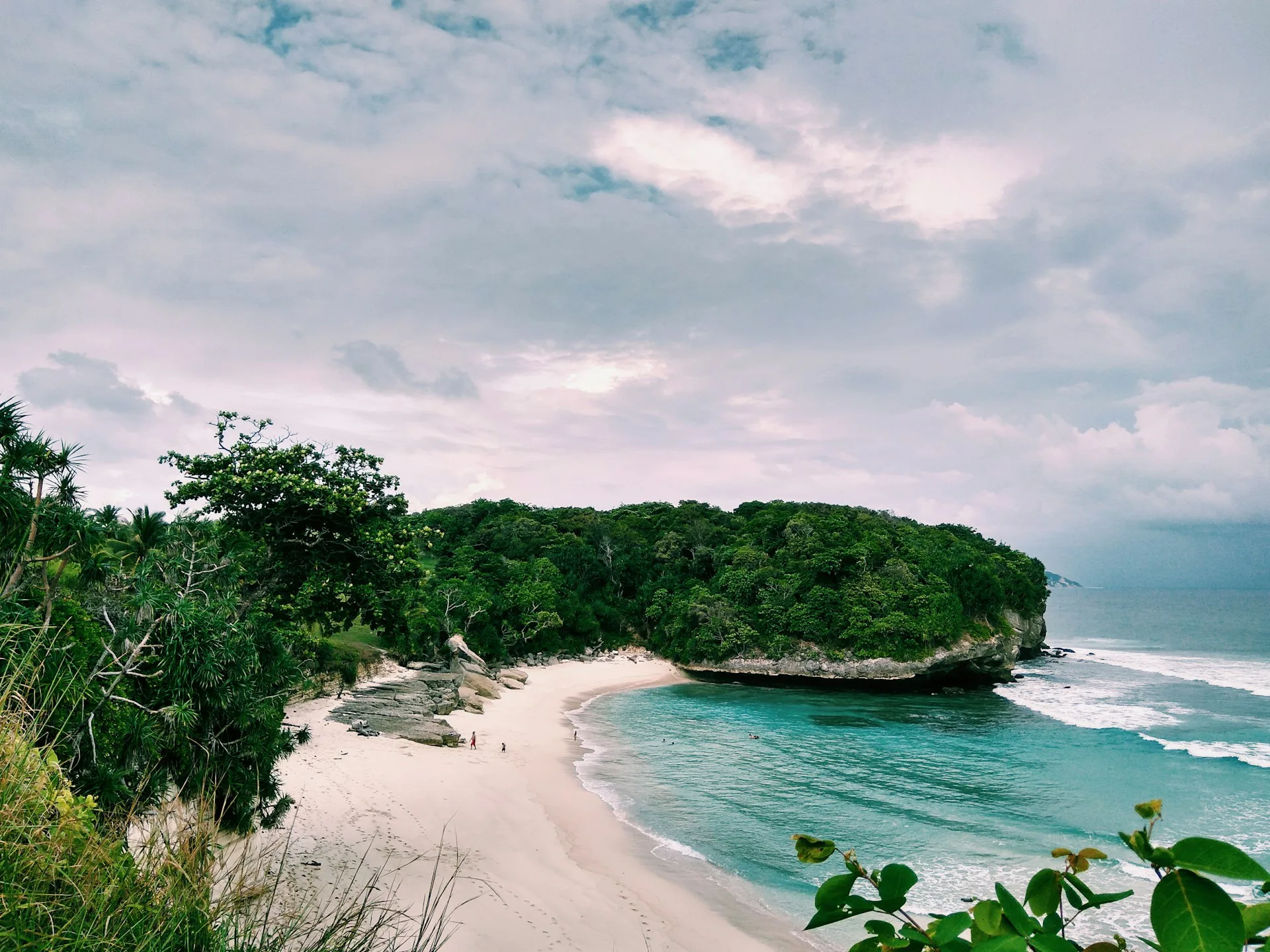 oleh-oleh khas sumba