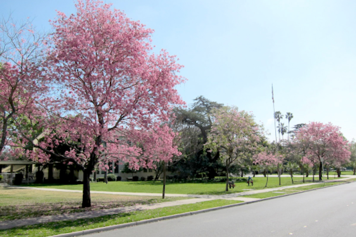 Cantik dan Nyaman, 12 Taman Kota di Jakarta Pusat yang Cocok untuk Ngabuburit