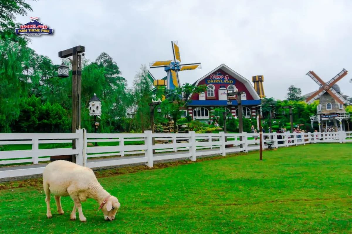 Dairyland Farm Theme Park