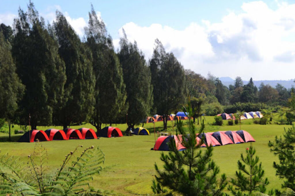 Mandalawangi Cibodas Camping Ground (Jawa Barat)