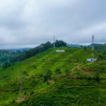 destinasi wisata puncak