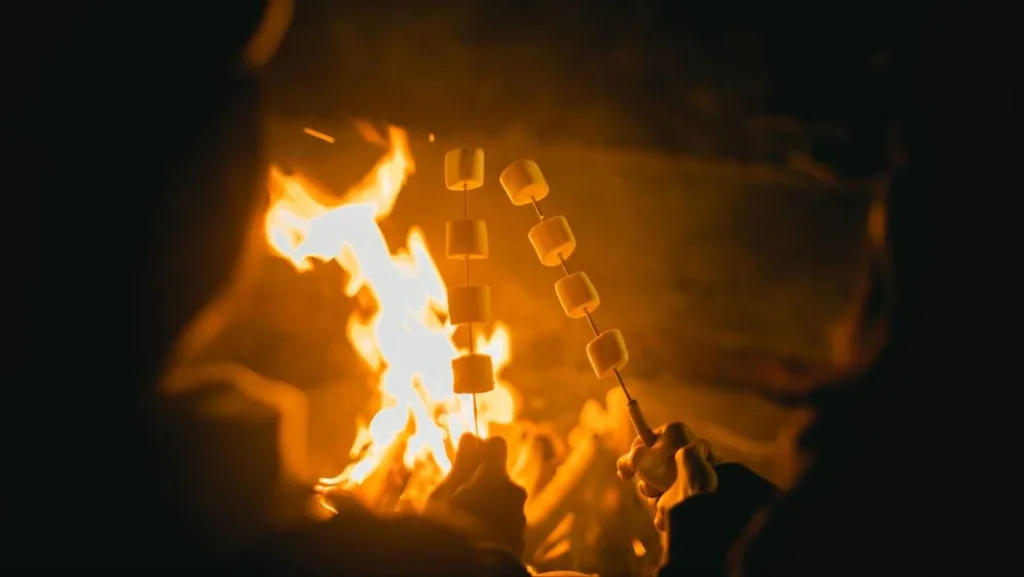 roasting marshmallow over a fire