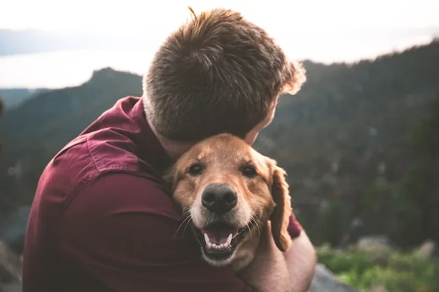 Benefits of hugging your furry friend