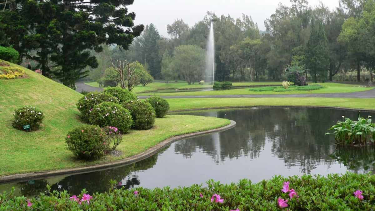 Cibodas Botanical Garden, Bogor