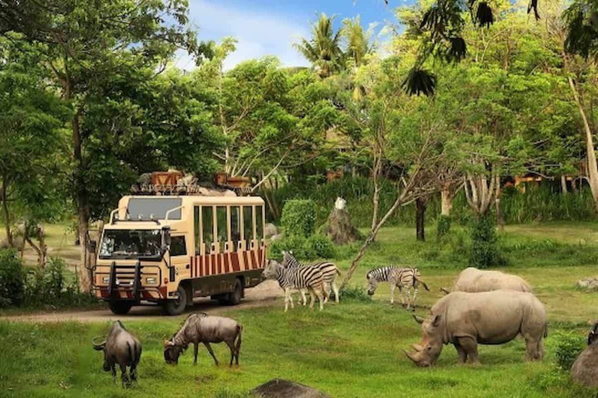 Safari Park Indonesia, Bogor